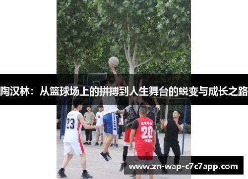 陶汉林：从篮球场上的拼搏到人生舞台的蜕变与成长之路
